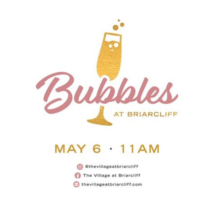 Summer Reading Celebration: Bubbles and Balloons at Briarcliff Manor Library | Macaroni KID Armonk - Chappaqua - Mount Kisco