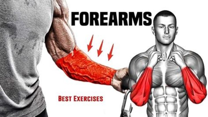 The 15 Best Forearm Exercises for Mass