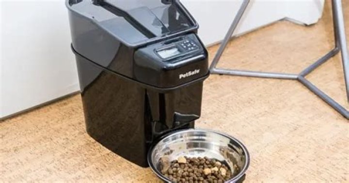 The 7 Best DIY Automatic Pet Feeders