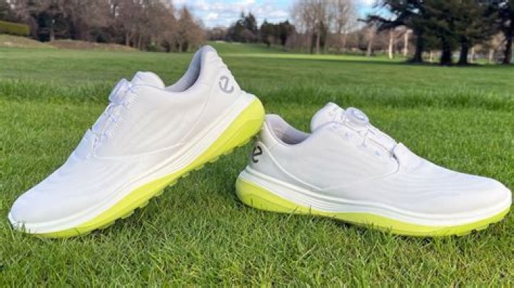	The best ECCO golf shoe	