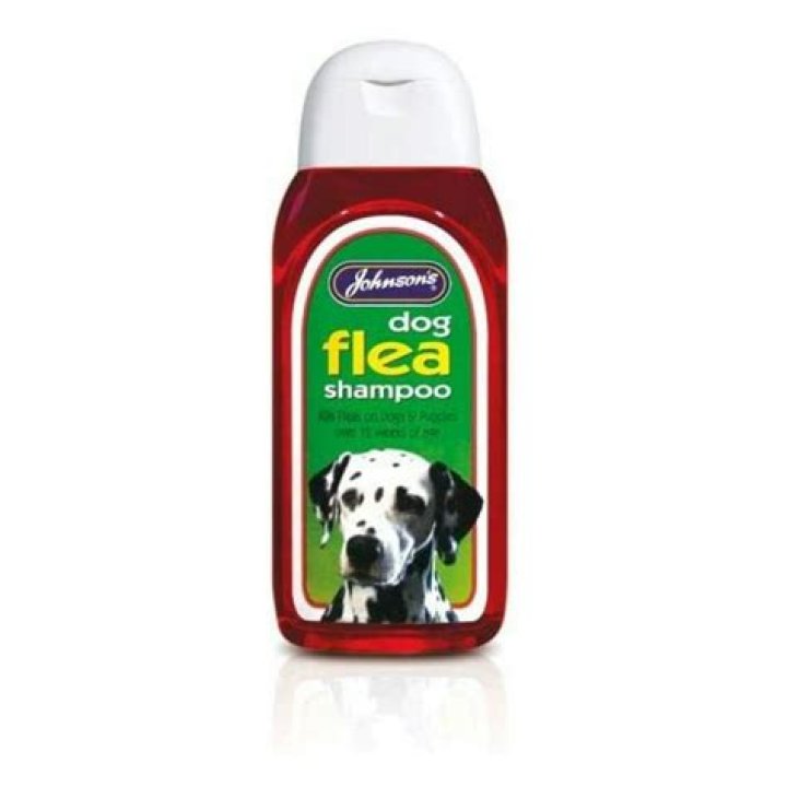 	The best flea shampoo for dogs	