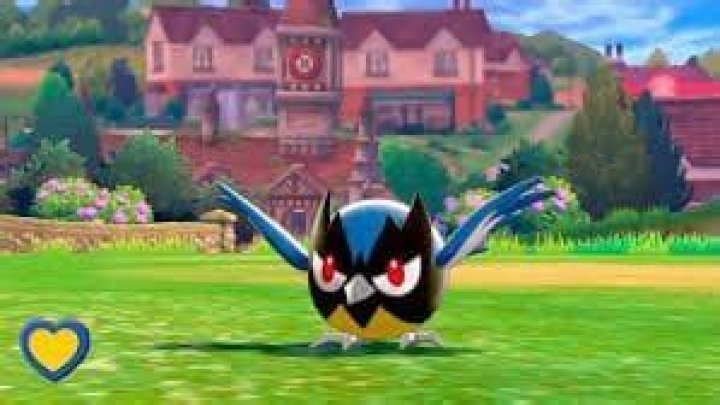 The best nature for Rookidee in Pokemon Sword and Shield