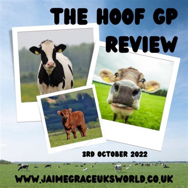 The Hoof Gp Net Worth 2024