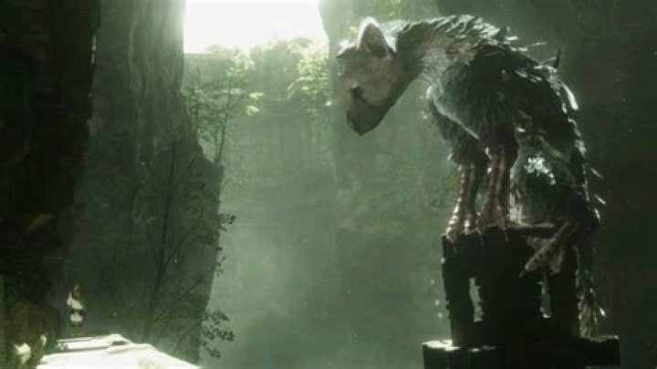 The Last Guardian Story and Ending Explained