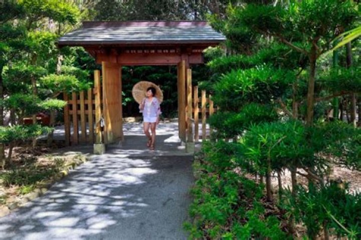 	The Morikami Museum hosts their annual Obon weekend | PHOTOS	