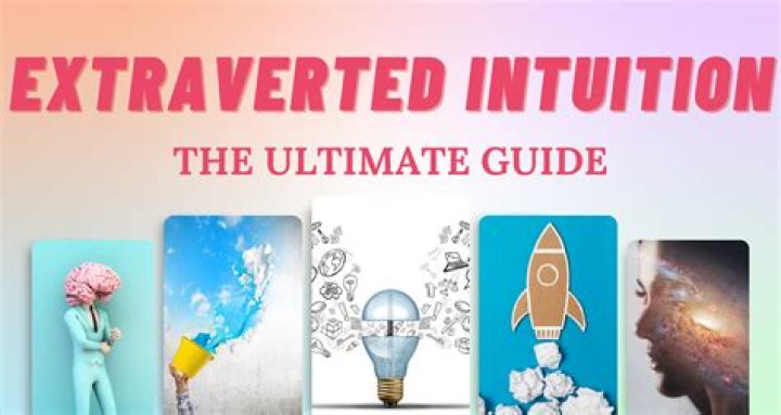 The Ultimate Guide To Noodalmazine: Exploring Its Significance And Benefits