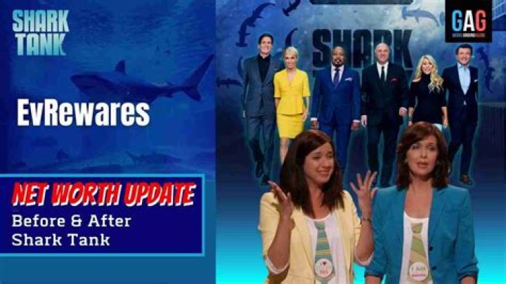 The Wisp Shark Tank Net Worth 2024