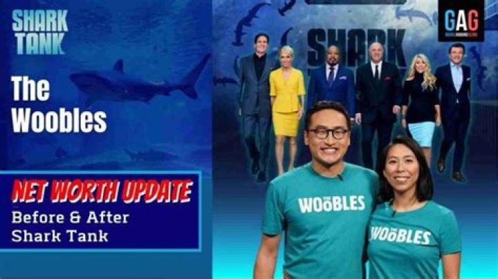 The Woobles Net Worth 2024