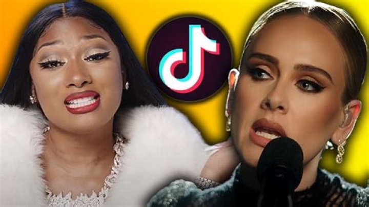This hilarious Adele x Megan Thee Stallion mashup is taking over TikTok