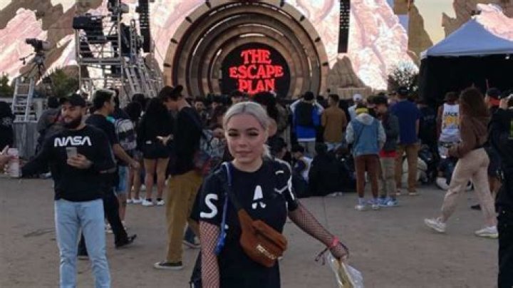 TikToker Tess Krauser explains what she saw at Travis Scott Astroworld disaster