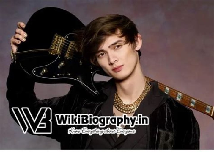 Tim Henson (Polyphia): Wiki, Bio, Age, Net Worth, Family, Girlfriend