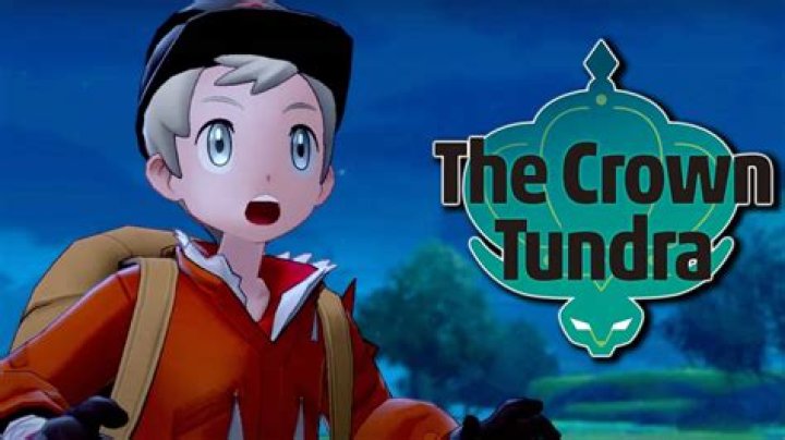 Top 5 secrets you might have missed in Pokemon Crown Tundra DLC