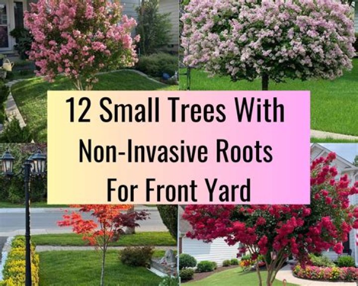 	TREES THAT CAN TAKE IT	