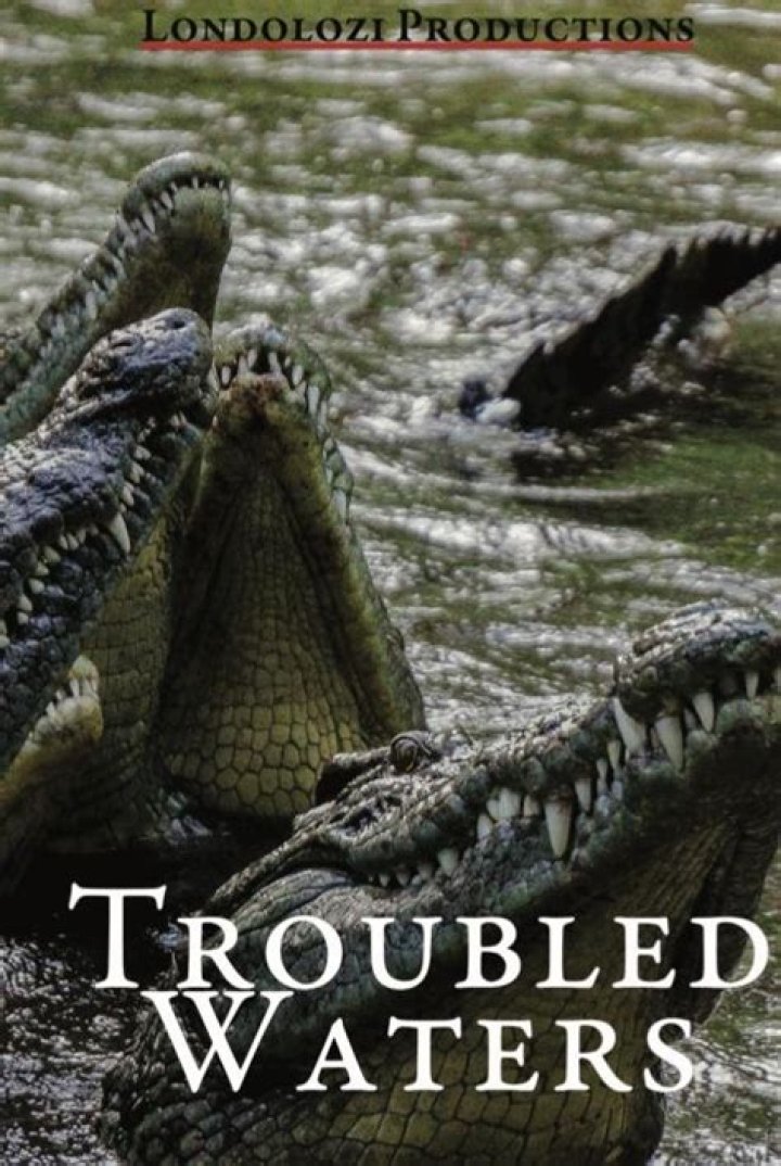 	TROUBLED WATERS	