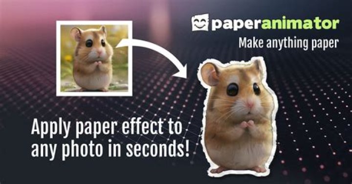 Understanding PaperAnimator: A Comprehensive Guide To Digital Animation