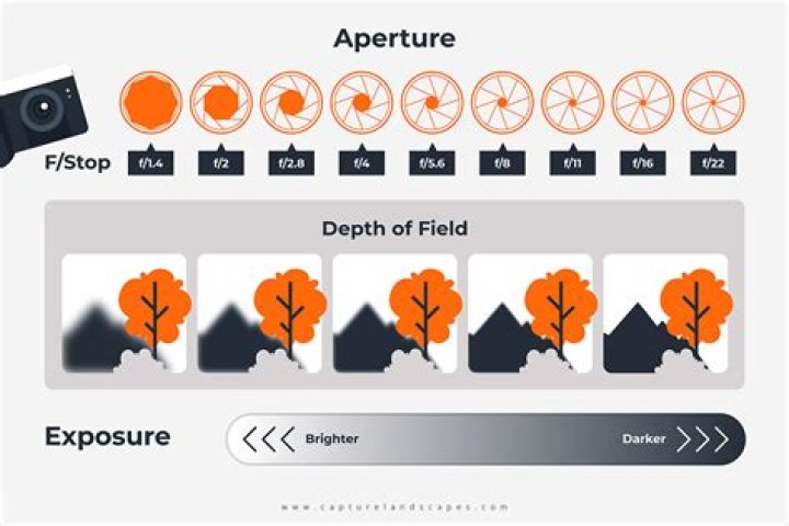Understanding The Art Of Photography: A Comprehensive Guide