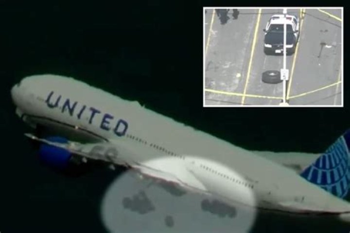 United Airlines flight diverted because it accidentally had a dog on-board