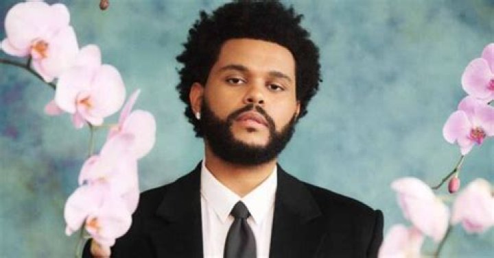 Unveiling Abel Tesfaye's Net Worth: Discoveries And Insights