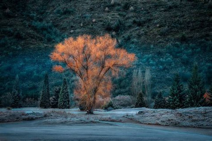 Unveiling The Art Of Photography: Composition, Light, And Emotion