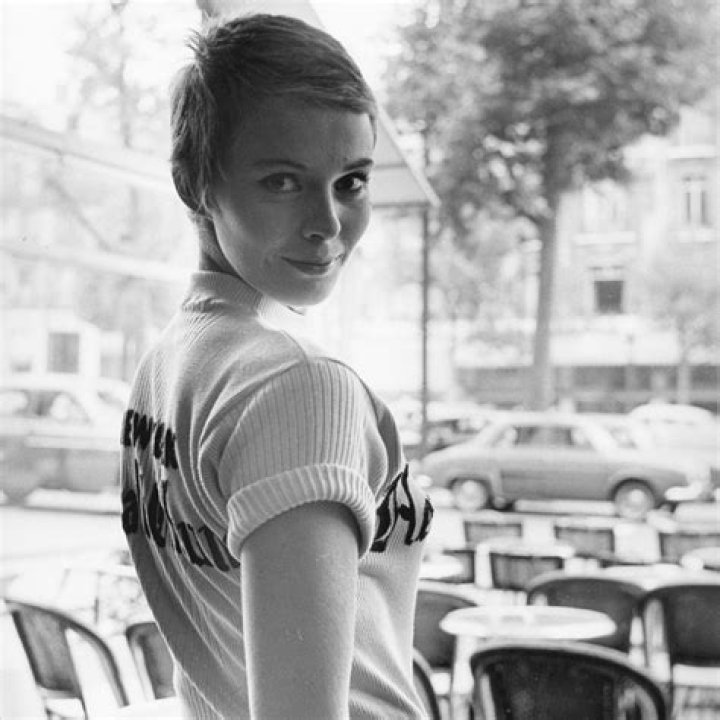 Unveiling The Complex Tapestry Of Jean Seberg's Relationships