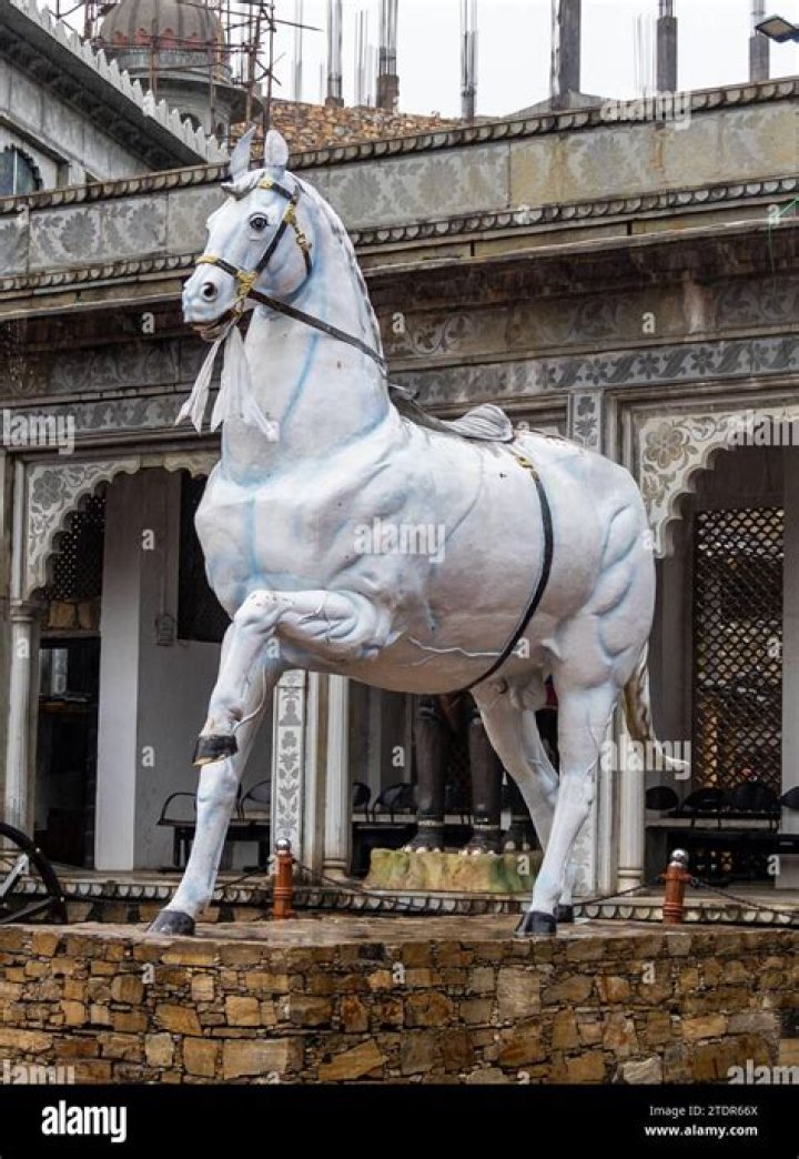 Unveiling The Enigma: Maharana Pratap's True Stature