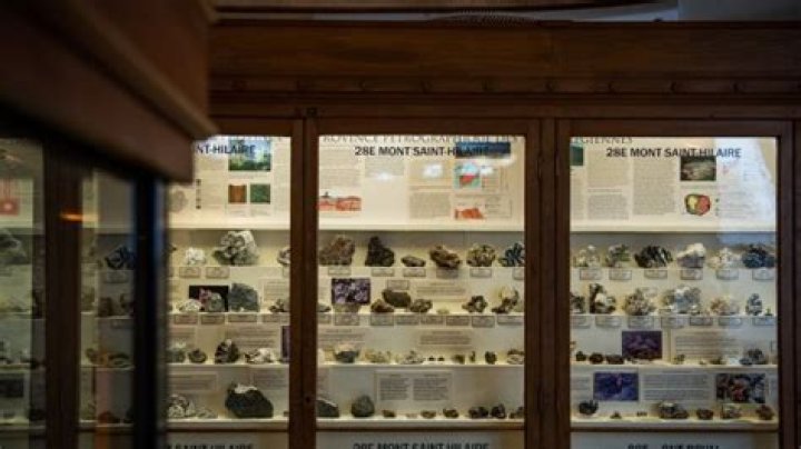 Unveiling The Enigmatic Bruce McGill: Discoveries And Insights Await