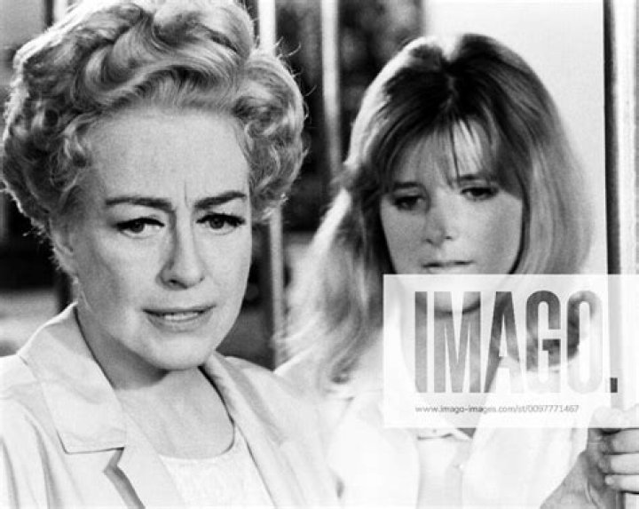 Unveiling The Life And Career Of Kim Braden