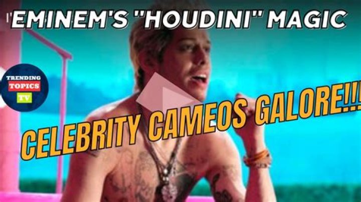 Unveiling The Magic: Cameos In Houdini Video