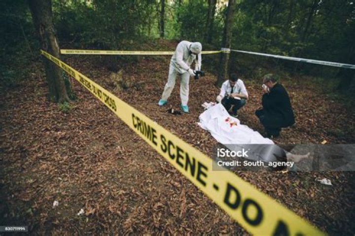 Unveiling The Mystery: Crime Scene Photos Dee Dee