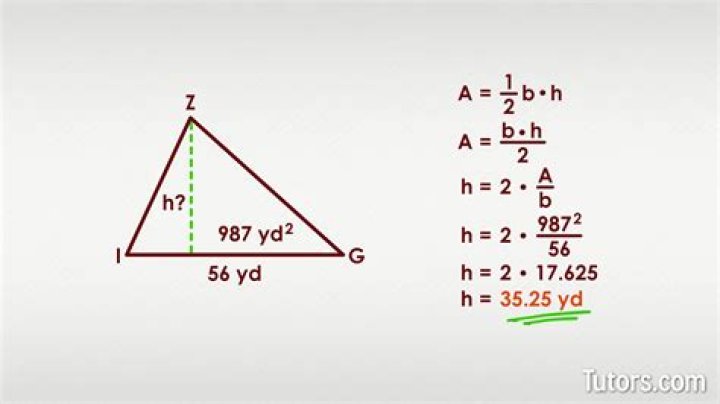 Unveiling The Secrets Of Height: A Comprehensive Guide To 