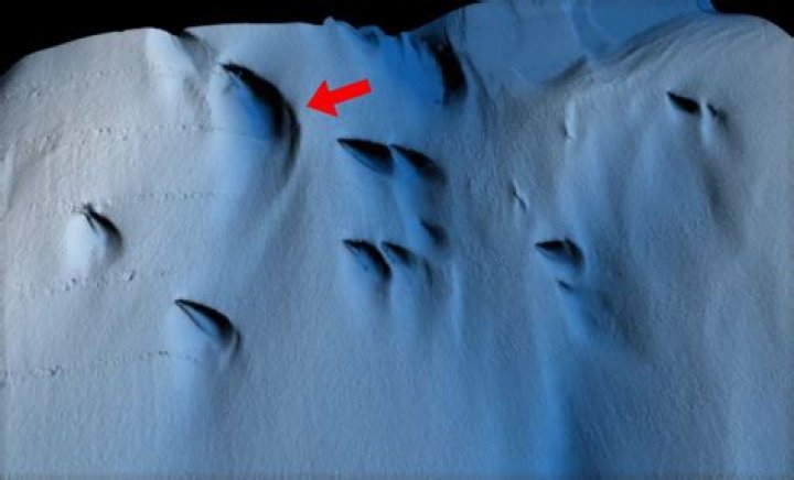 Unveiling The Secrets Of Ice Cube Weight And Height: Discoveries And Insights