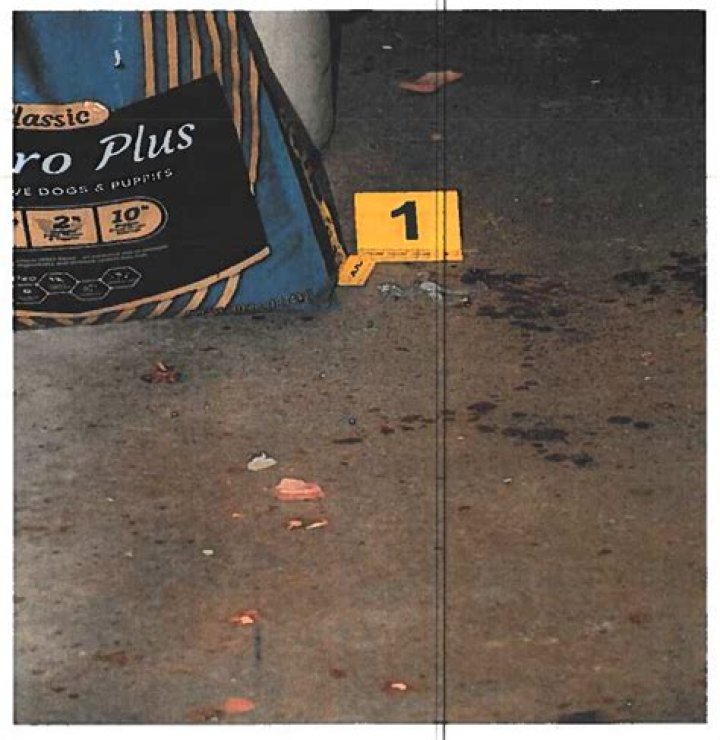 Unveiling The Tragic Story Behind Dee Dee Boanchard Crime Scene Photos