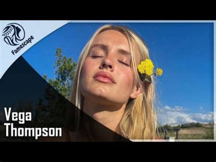 Unveiling The Truth: Vega-Thompson Leaks Expose Corporate Corruption