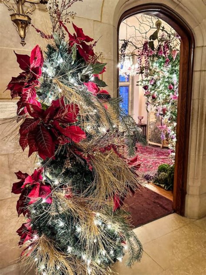 Unveiling Tree Paine's Salary: Discoveries And Insights