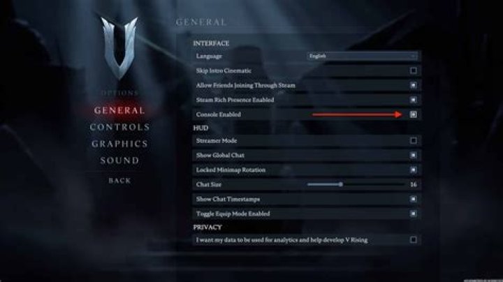 V Rising: How to Enable Cheats & Best Console Commands