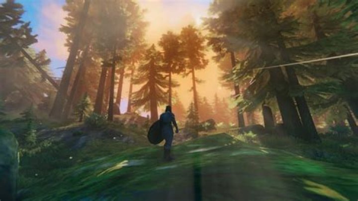 Valheim God Mode Explained: How to Activate Cheat & What It Does