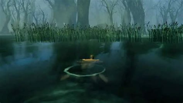 Valheim: How to Dive