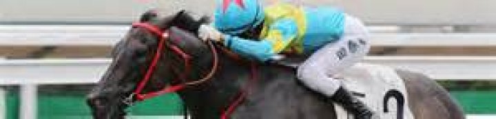 VICTOR THE WINNER (G404) 維港智能 | Horses | HK Racing