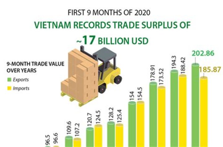 Vietnam records trade surplus over two months - Xinhua
