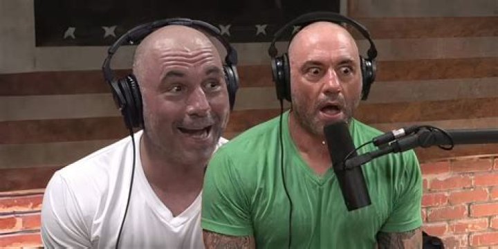 Was Joe Rogan on Friends?
