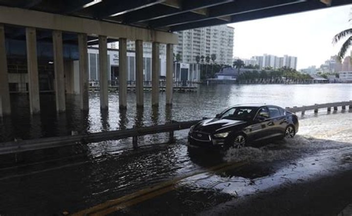 
Weather |	King tides are returning to South Florida. When they’ll be at their highest point.	
