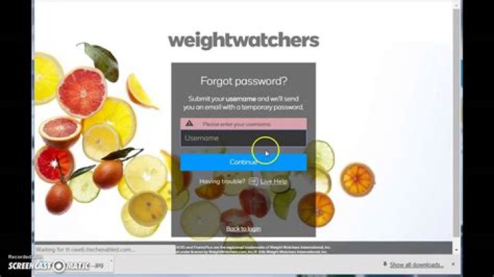 weightwatchers.com login safely, analysis & comments