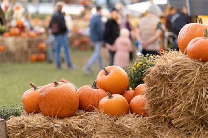 	Wellington’s Fall Festival takes place Friday	