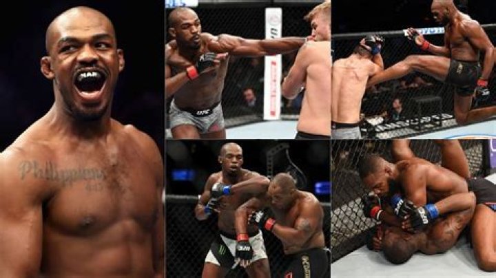 What are the different martial arts the UFC great uses?