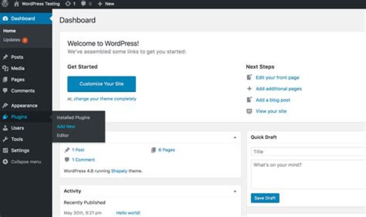 What Are WordPress Plugins?