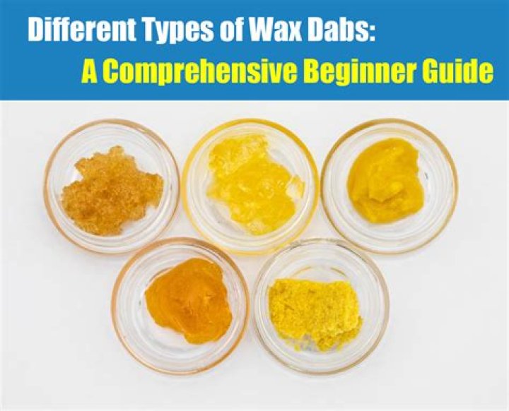 What Happened To Daisy Dabs? A Comprehensive Overview