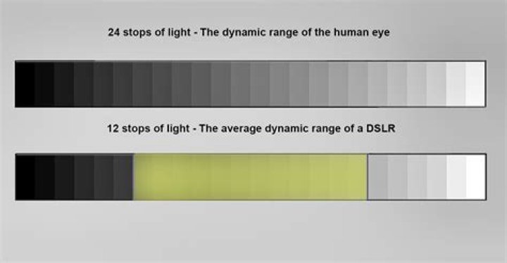 What Is Dynamic Range and Why Does It Matter for Photographers?