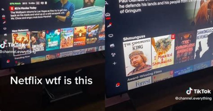 What is Shmunguss on Netflix? Viral category takes TikTok by storm