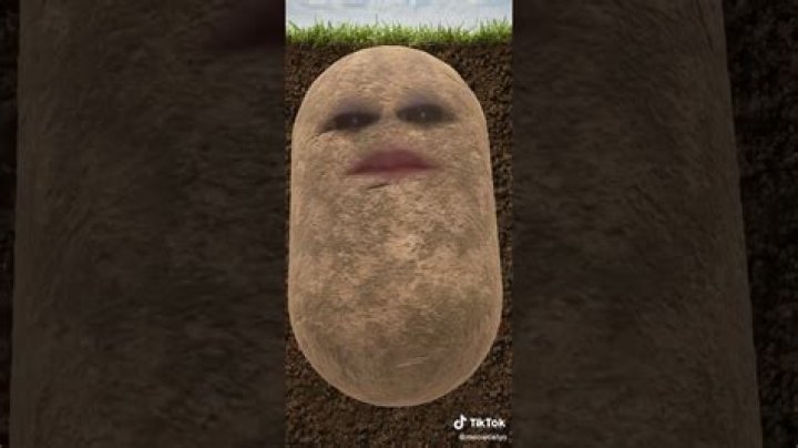What is the 
