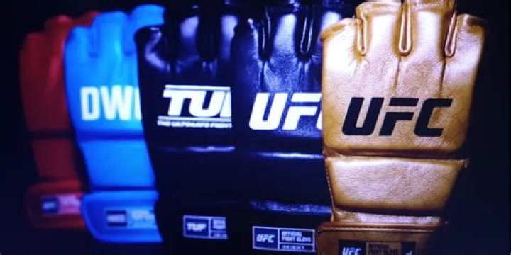 What is the typical UFC gloves weight?